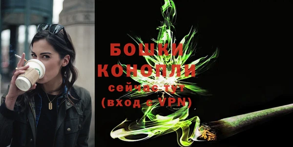 мдпв Богородицк