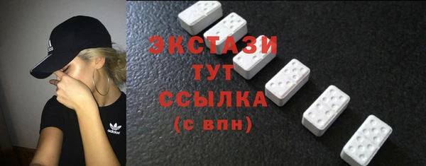 мдпв Богородицк