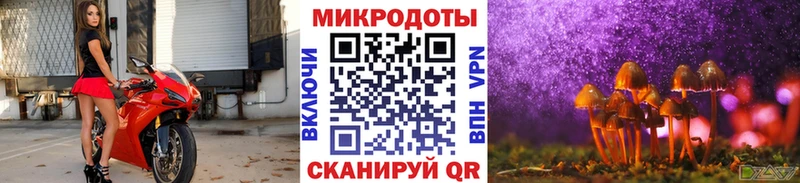 Псилоцибиновые грибы прущие грибы  Новое Девяткино 